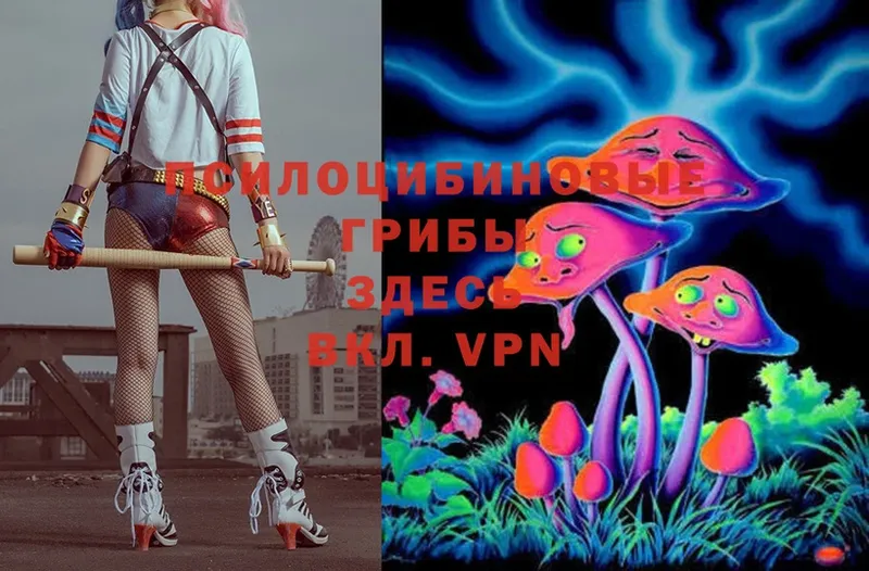 MEGA ТОР  Старая Русса  Галлюциногенные грибы MAGIC MUSHROOMS  где купить  